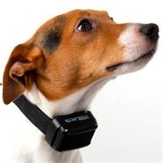 Dispositivo da addestramento da remoto per cani "C200" VOSS.pet DOG, 200 m