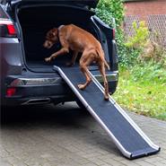 Rampa pieghevole per cani - Accessorio per il trasporto dei cani, in alluminio