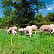 Rete per pecore "EasyNet" AKO, 50 m, 105 cm, 1 punta