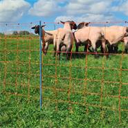 Rete per pecore AKO OviNet Premium 50m, recinto per pecore, 108cm, 14 pali rinforzati, 2 punte, arancione