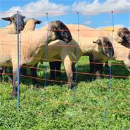 Rete per pecore AKO TitanNet Premium, 50 m, 90 cm, 14 pali rinforzati, 1 punta, montanti rigidi, blu-arancione