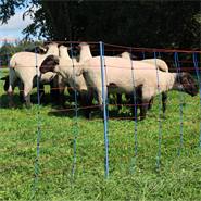 Rete per pecore AKO TitanNet Premium, 50 m, 90 cm, 14 pali rinforzati, 2 punte, montanti rigidi, blu-arancione