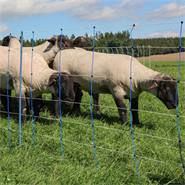 Rete per pecore AKO TitanNet Premium, 50 m, 108 cm, 14 pali rinforzati, 2 punte, montanti rigidi, blu-arancione