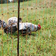 Rete per pollame VOSS.farming classic, recinto per polli, 50m, 106cm, 16 pali, 2 punte, arancione
