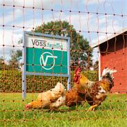 Rete per pollame VOSS.farming farmNET+, 50 m, 112 cm, 20 pali, 2 punte, arancione