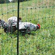 Rete per pollame VOSS.farming classic, recinto per polli, 50m, 106cm, 16 pali, 2 punte, verde, Non elettrificabile