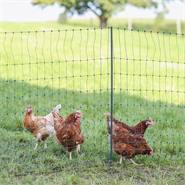 Rete per pollame AKO PoultryNet Premium 50m, recinto per polli, 122cm, 15 pali rinforzati, 2 punte, verde