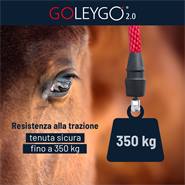 Capezza per cavalli GoLeyGo 2.0, marrone-azzurro, con perno adattatore GoLeyGo (Taglia 3)