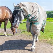 Frontalino con frange antimosche QHP, per cavalli e pony