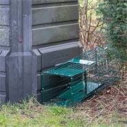 Trappola vivente con porta a scatto - trappola per martore, per topi, 18,5 x 18,5 x 60 cm