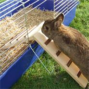 Rampa per conigli, ponte in legno per uscita gabbia per roditori