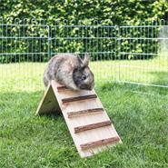 Rampa per conigli, ponte in legno per uscita gabbia per roditori