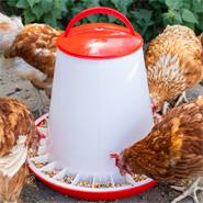 Mangiatoia automatica per pollame, capacità fino a 3 kg di mangime, con coperchio