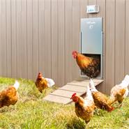 Set: Apriporta automatico Poultry Kit VOSS.farming per pollaio + porta scorrevole 300 x 400 mm