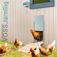Apriporta automatico per pollaio - VOSS.farming Chicken Door