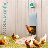 Set: VOSS.farming "Chicken Door" - Apriporta automatico per pollaio + porta scorrevole, 220x330mm