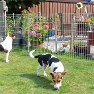 Recinzione ad innesto VOSS.garden 80 x 690 cm, recinto da giardino, per cani, recinto di protezione per stagni