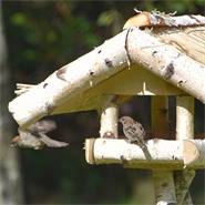 Conveniente casetta per uccellini VOSS.garden "Holm", con tettuccio di paglia e sostegno