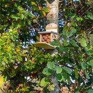 Mangiatoia per scoiattoli "Lunne" VOSS.garden