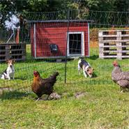 Rete per pollame VOSS.farming farmNET, 25 m, 112 cm, 9 pali, 2 punte, verde, non elettrificabile