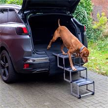 Scala pieghevole per cani, 3 gradini - accessorio per il trasporto in auto dei cani
