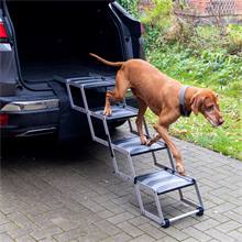 Scala pieghevole per cani, 4 gradini - accessorio per il trasporto in auto dei cani