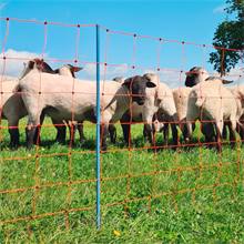 Rete per pecore AKO OviNet Premium 50m, recinto per pecore, 108cm, 14 pali rinforzati, 2 punte, arancione