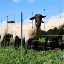 Rete per pecore AKO TitanNet Premium, 50 m, 90 cm, 14 pali rinforzati, 1 punta, montanti rigidi, blu-arancione