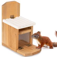 Mangiatoia per scoiattoli "Hult" VOSS.garden, stazione di alimentazione per scoiattoli