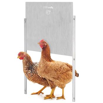 Set con porta per pollaio "Profi" - porta scorrevole molto alta, in alluminio, 430 x 400 mm