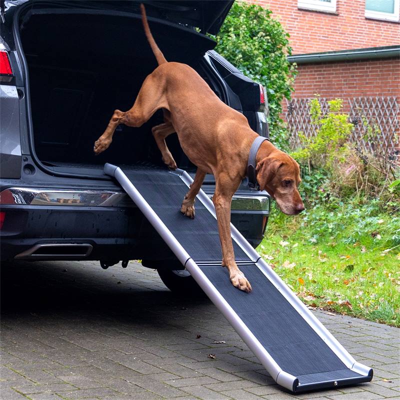 Rampa pieghevole per cani - Accessorio per il trasporto dei cani