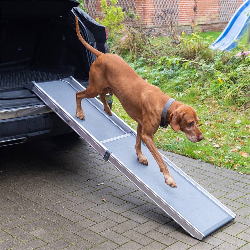 Rampa telescopica per cani - Accessorio per il trasporto dei cani