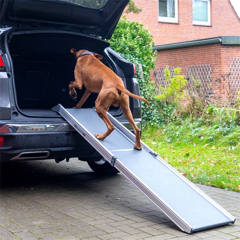 Griglia auto per cani, griglia auto protettiva, griglia divisoria per  portabagagli auto regolabile 96-145 x 30cm