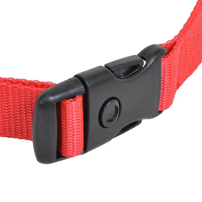 2959-Ersatzhalsband-Verschluss-rot-Hundehalsband.jpg