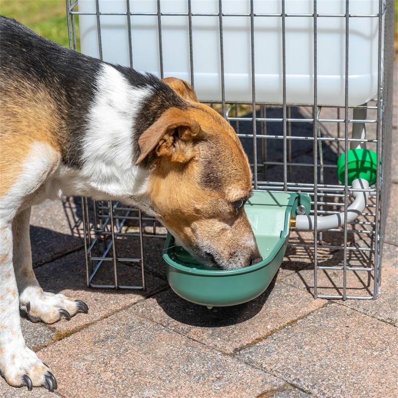 Abbeveratoio automatico in acciaio inox per cani - Animali In