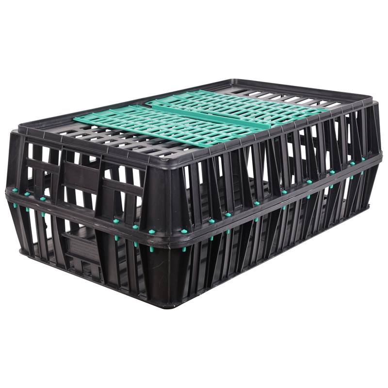 560705-1-poultry-transport-crate-small-with-2-doors-85x50x31-cm.jpg