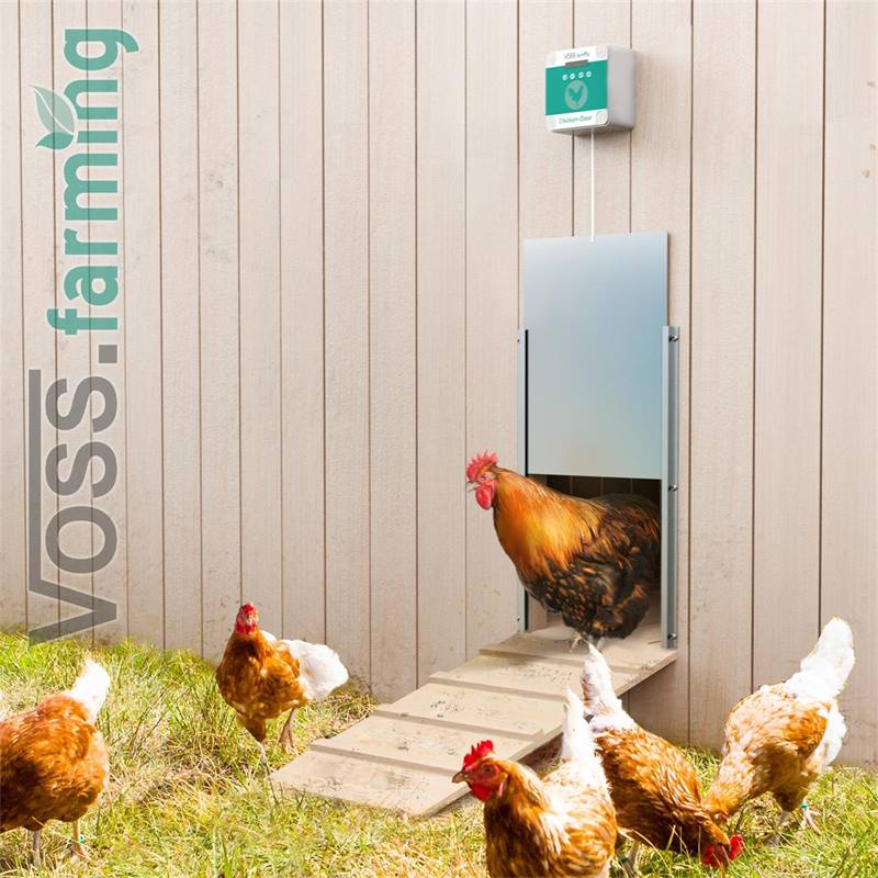 561856.uk-10-voss.farming-electronic-automatic-chicken-coop-door-opener-aluminium-300-400mm.jpg