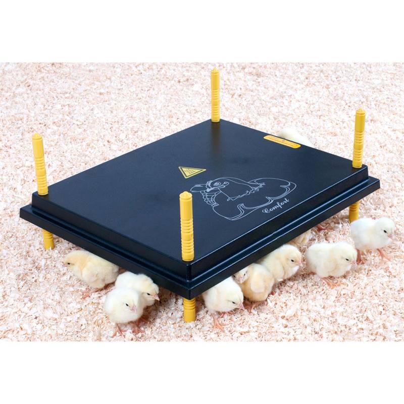 80376-2-chick-brooder-heating-plate-for-chicks-comfort-40x50cm-50w.jpg