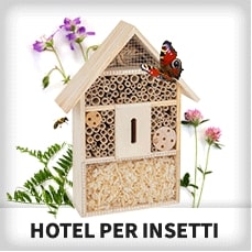 Hotel per insetti
